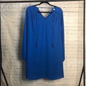 CC’s blue shift dress long sleeves large